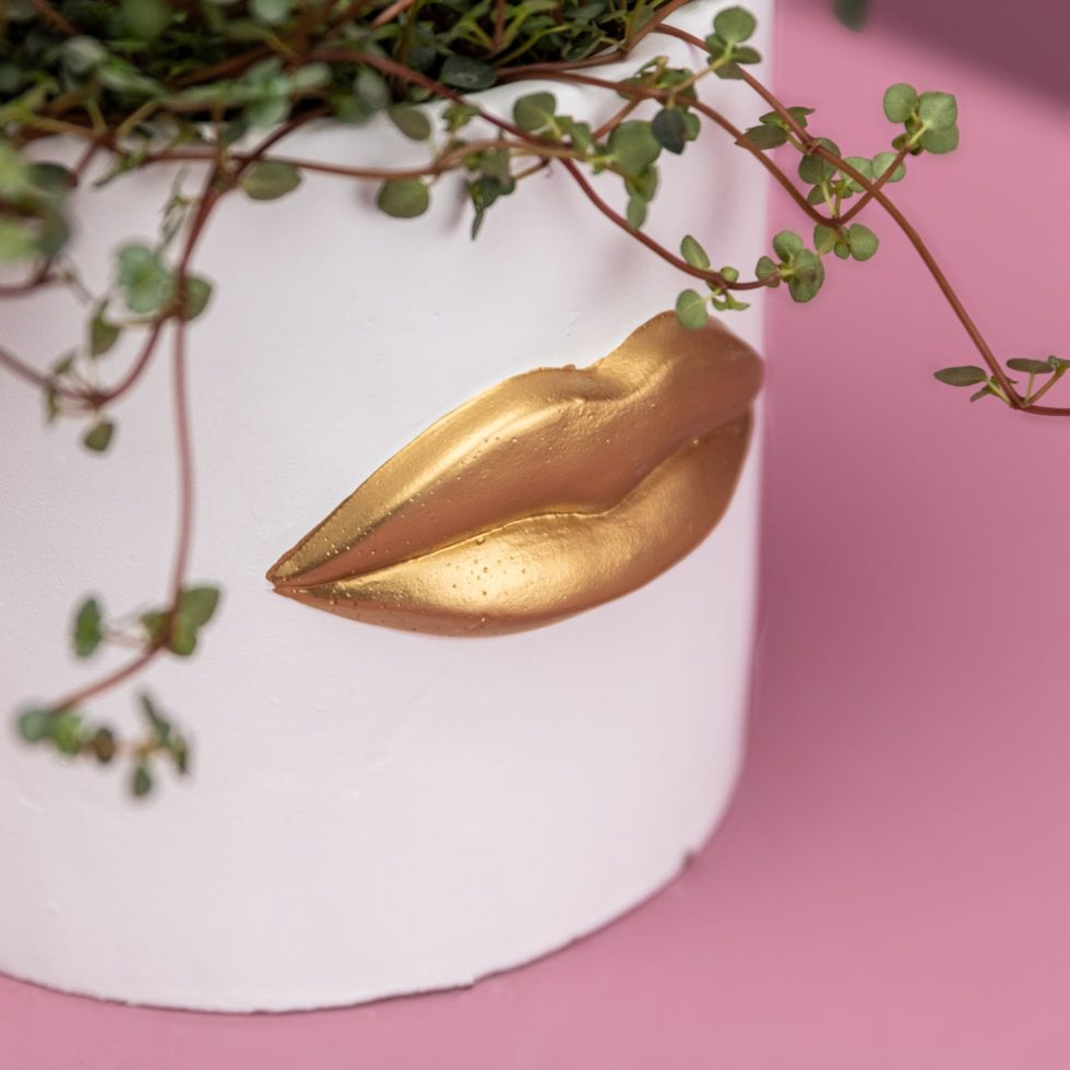 Vazonas „Lips“