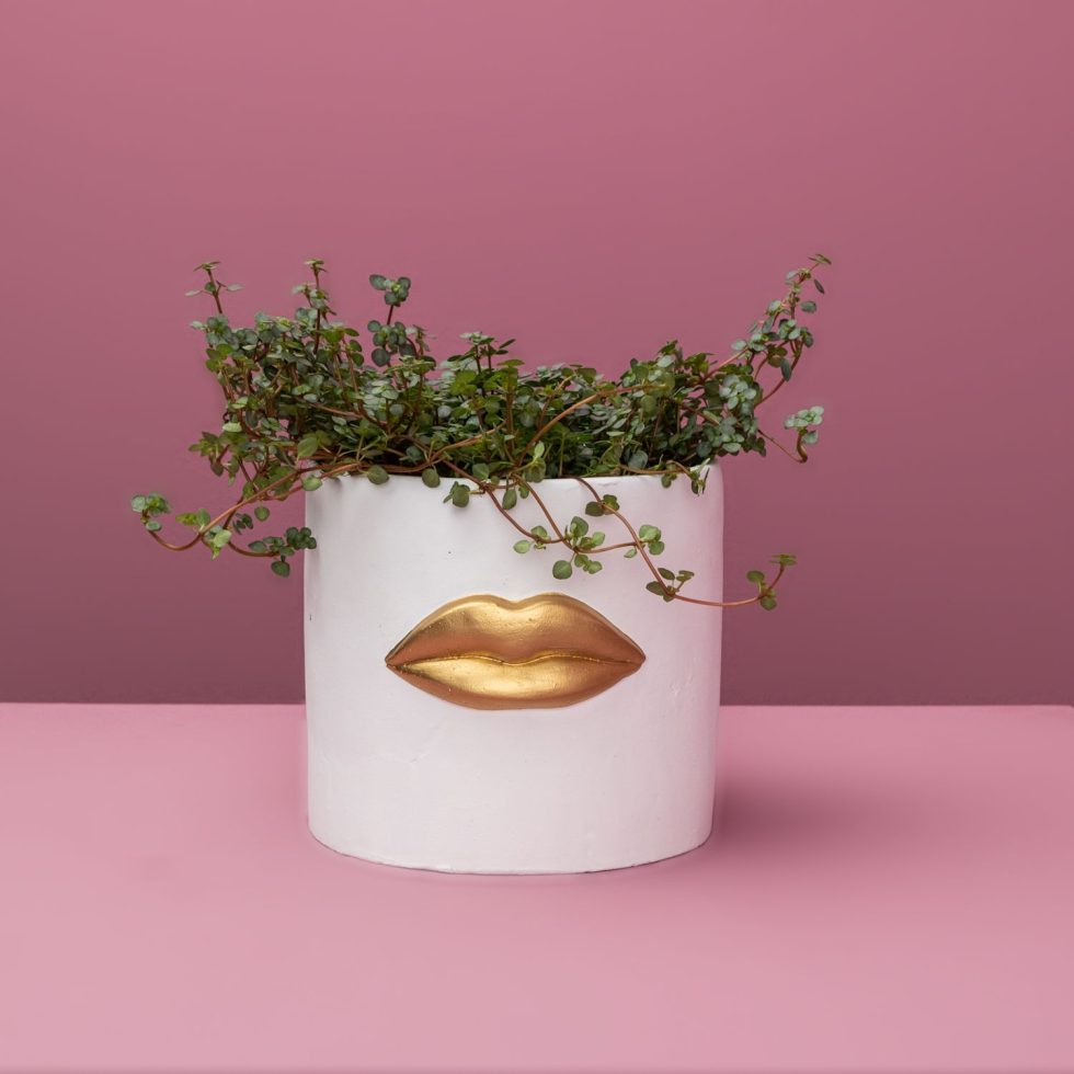 Vazonas „Lips“