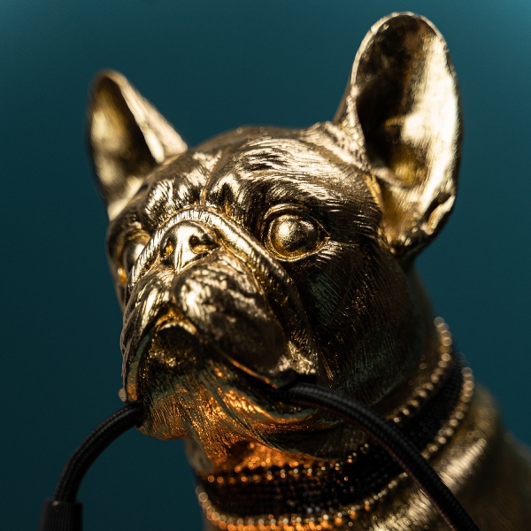Stalinis šviestuvas „Francis“