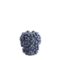 Vaza „Berries“